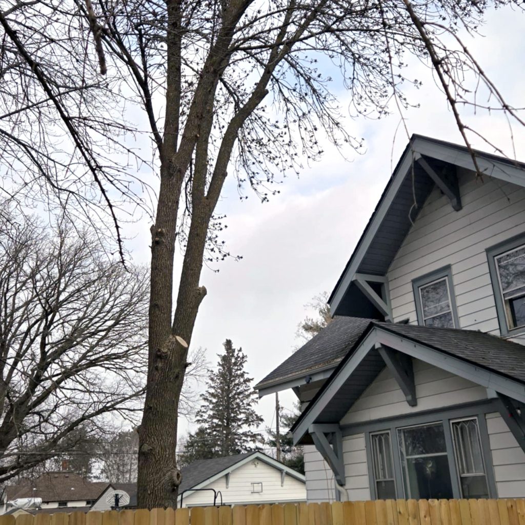 A large leafless tree stands next to a two-story gray house with white trim and a wooden fence in front. Other leafless trees, rooftops, and a cloudy sky are visible in the background.