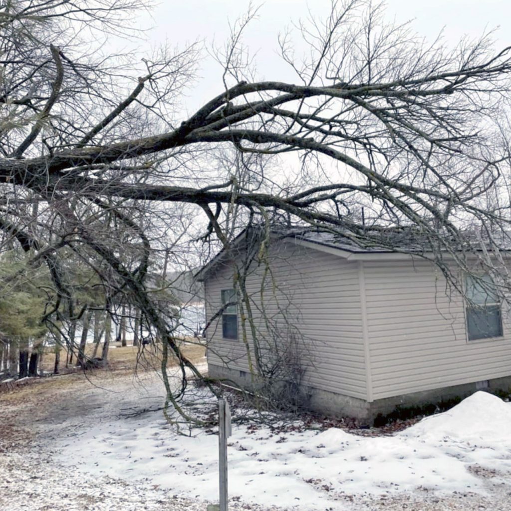 Large tree branches rest heavily on the roof of a small beige house, with snow covering the ground and bare trees surrounding the scene on a cloudy winter day.