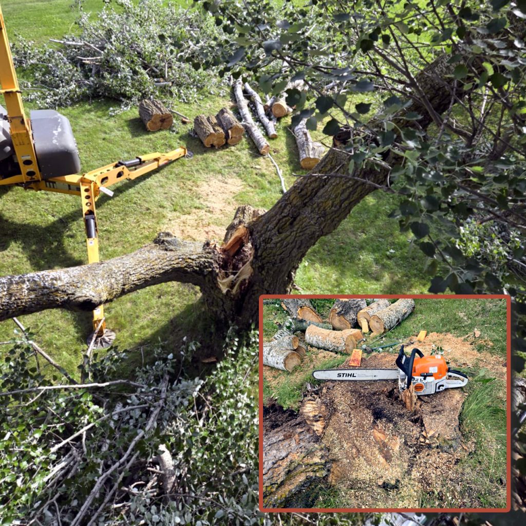 A large tree has been cut down onto grass, with logs and a yellow machine visible. Inset shows a close-up of a Stihl chainsaw on a tree stump with more logs around.