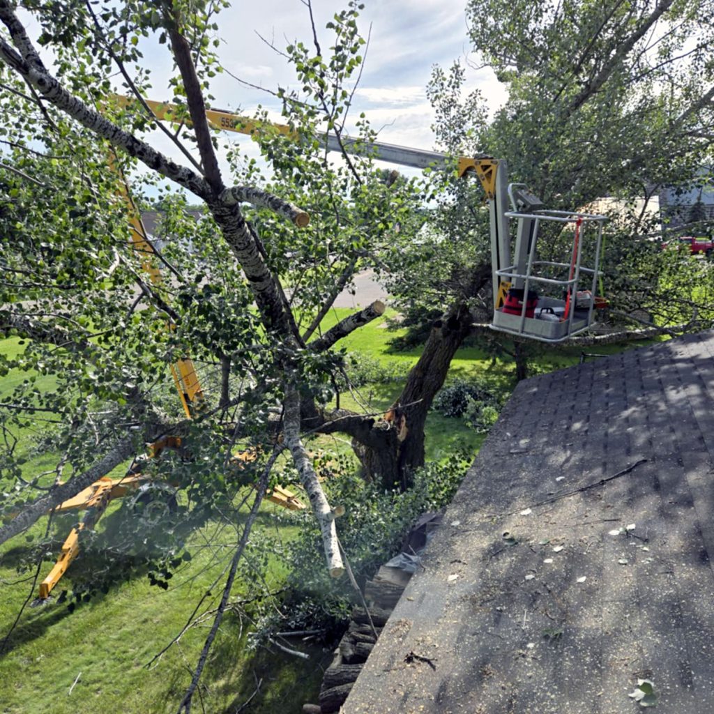 A worker in a yellow boom lift trims large branches from a tall tree next to a rooftop, with fallen limbs and scattered leaves visible on the ground and roof.