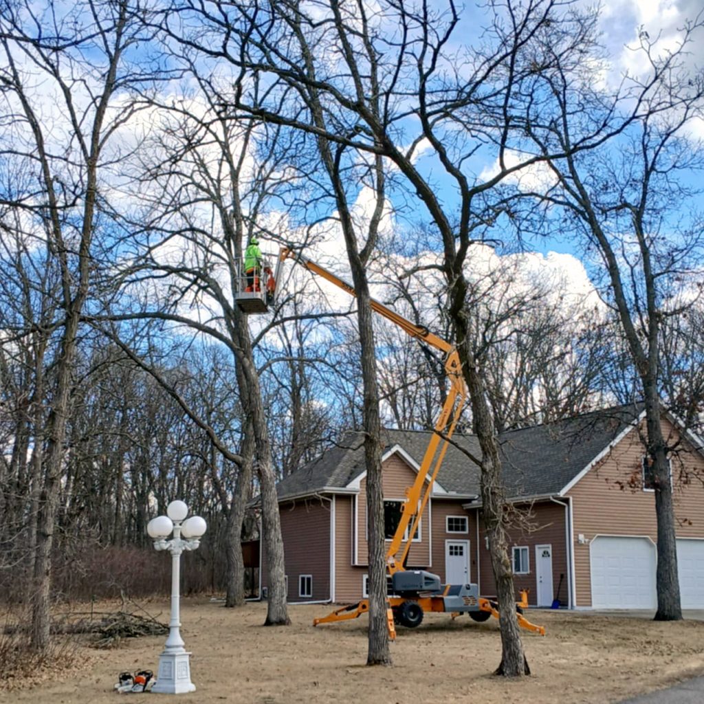 A worker in a green vest stands in a lift trimming tall trees near a brown house with white trim and a double garage, on a clear day with leafless trees and a white lamp post in the yard.