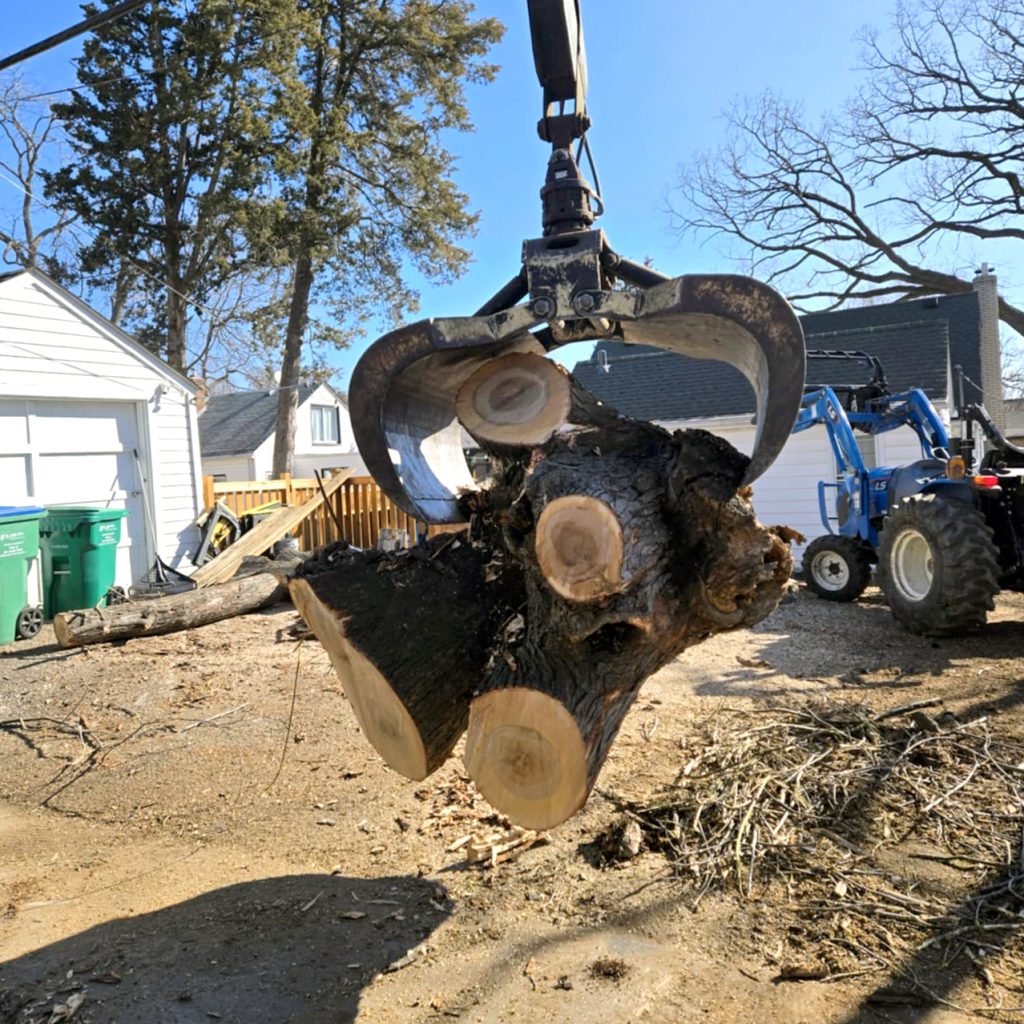 A large claw attachment on a tractor lifts several thick, freshly cut logs in a residential yard, with houses, trees, and scattered branches in the background.