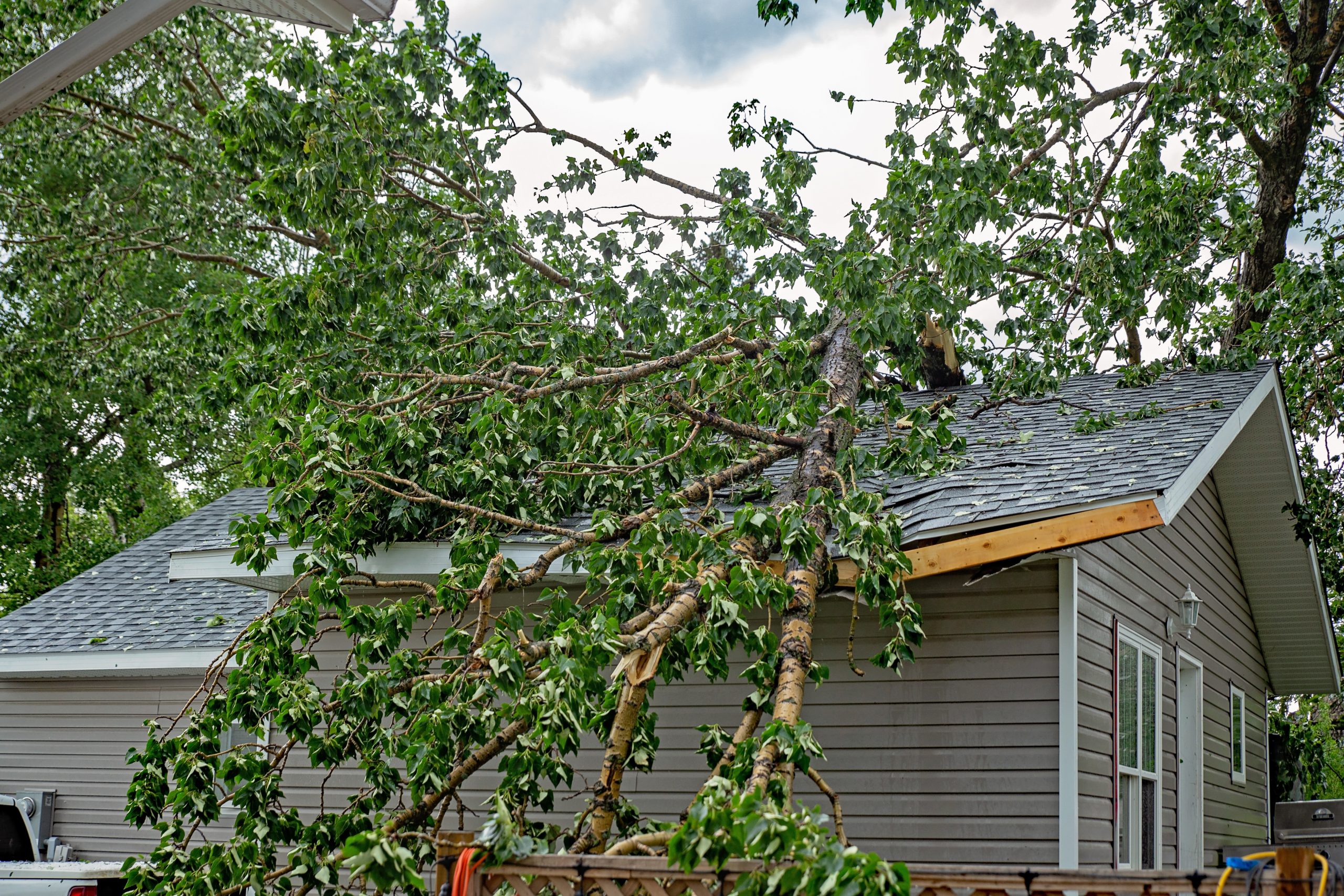 A large tree branch from storm damaged trees has fallen onto the roof of a gray house, causing visible damage. Leaves and branches cover much of the roof, and debris surrounds the area. The sky is partly cloudy in the background.